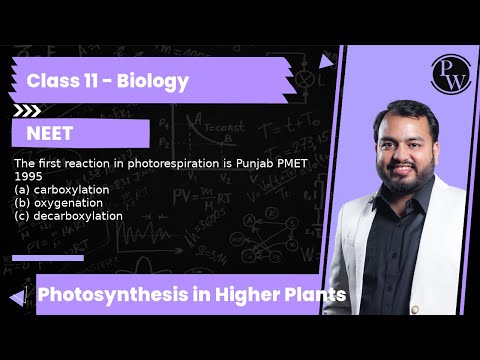 The First Reaction In Photorespiration Is Punjab Pmet 1995 ...
