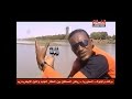 امير الجزيرة - زيتونة امير الجزيرة - زيتونة