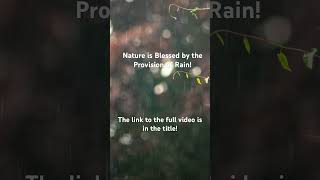 The Rainfall in Nature is Quite Relaxing https://youtu.be/r2IGw4luC_U