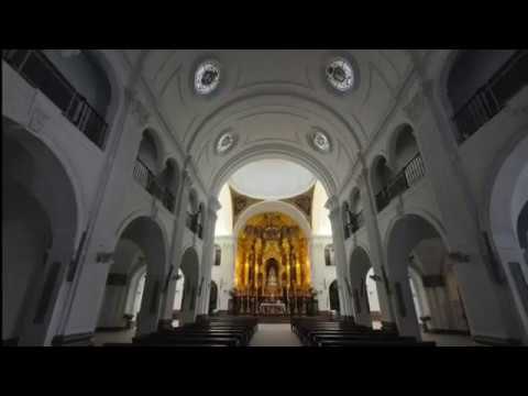 Pontificia, Real e Ilustre Hermandad Sacramental Purísima Concepción Ánimas Benditas del Purgatorio, San Sebastián Mártir y Archicofradía de Nazarenos del Santísimo Cristo de la Exaltación y Nuestra Señora de las Lágrimas