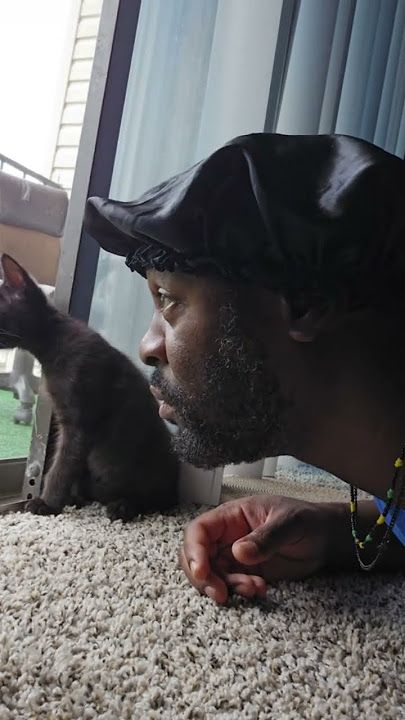 The cat looking like , can you believe this shhh😳😂😂😂 #funny #comedy #shorts #youtubeshorts