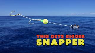 THIS Gets BIG SNAPPER -Slow Bait Fall= Bigger Fish