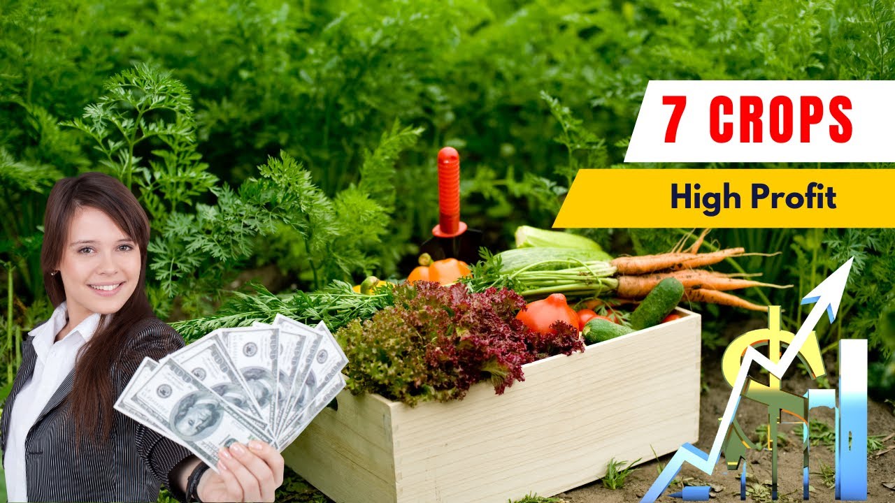 7 High Profit Crops That Can Make You a Millionaire Smart Agriculture ...