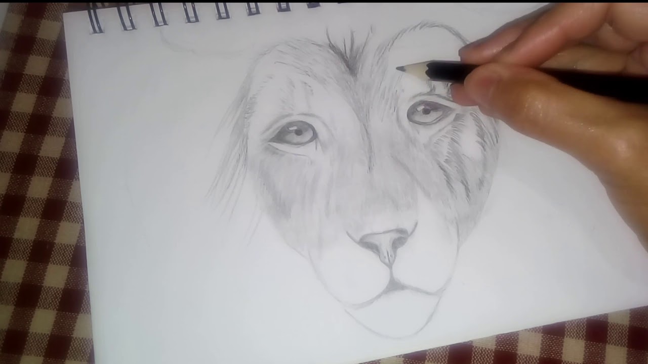 How to Draw Lion Head for Beginners (EASY TO FOLLOW) - YouTube