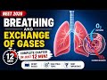BREATHING & GAS EXCHANGE⚡ COMPLETE CHAPTER IN 12 MIN