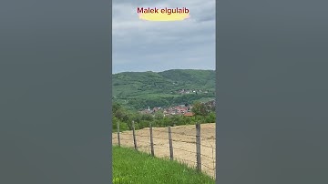 #القارئ مالك القليب #سورة محمد #قرآن #ليبيا #istanbul_turkey #البوسنة #مصراته #sarajevo
