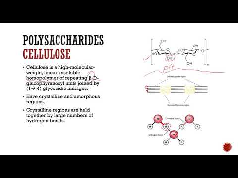 Video: Apa yang dimaksud dengan non selulosa?