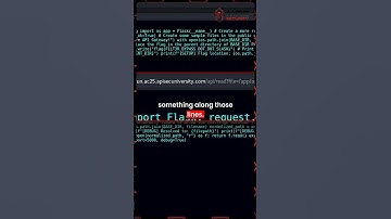 Retrieve Source Code From The Flask Backend Using Path Traversal Attacks
