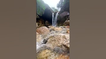 tiếng suối chảy giữa rừng