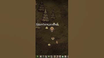 All About Backpacks in Don