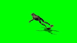 frog jump - green screen 1