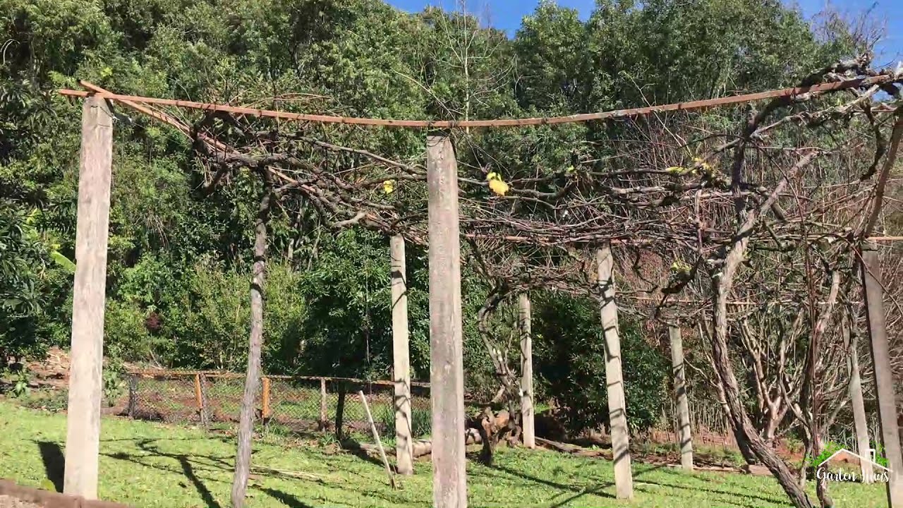 Sitio com residencial, Linha Imperial, Nova Petrópolis- RS Jardim da Serra Gaúcha!