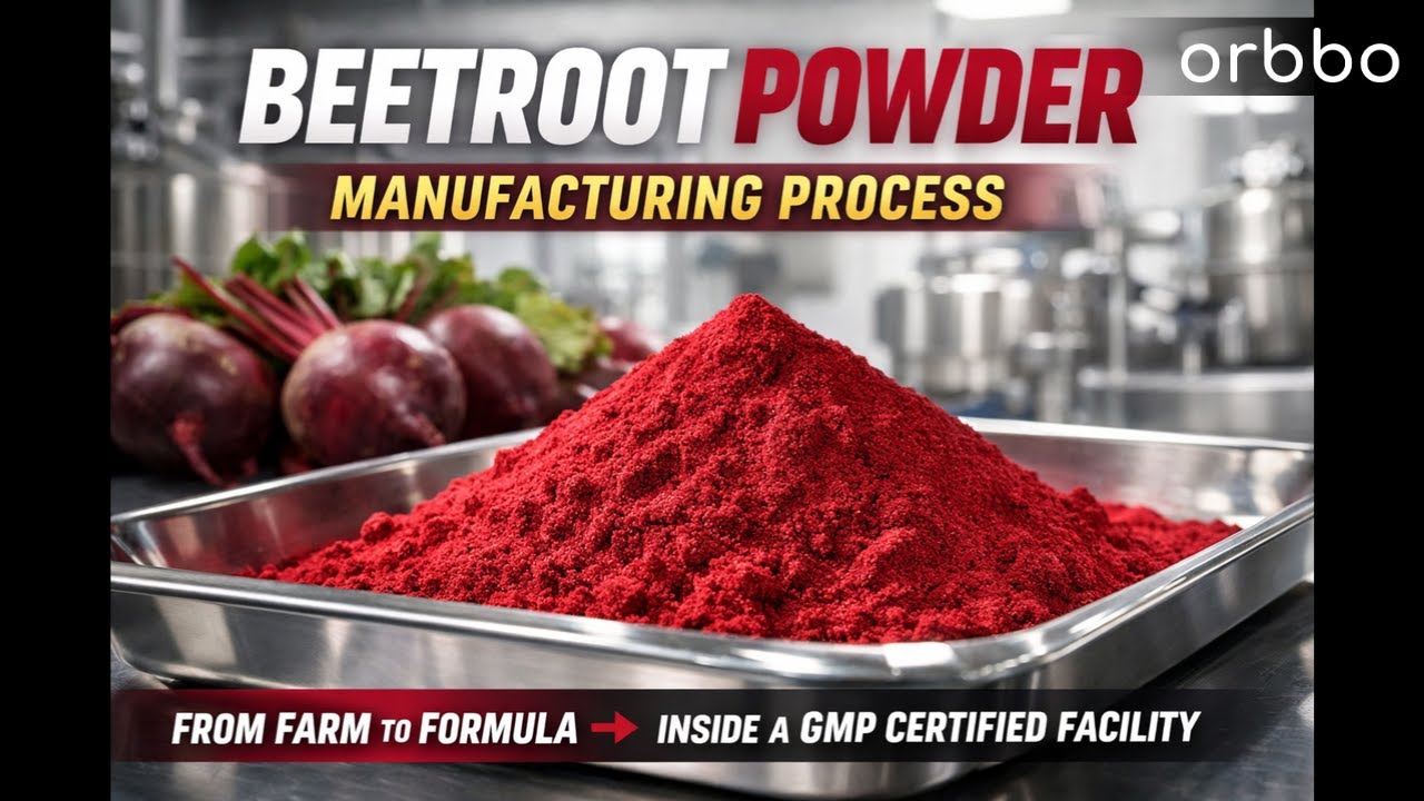 How Beetroot Powder Is Made | Organic Beetroot Powder Manufacturing ...