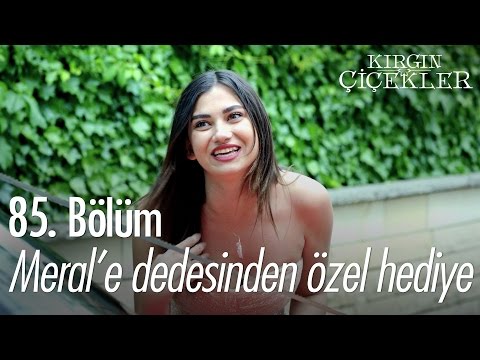 Meral'e dedesinden özel hediye... - Kırgın Çiçekler 85. Bölüm - atv