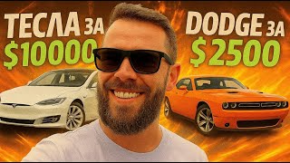 видео: Аукцион Manheim в Северной Каролине. Что и почем можно купить? картинка: Аукцион Manheim в Северной Каролине. Что и почем можно купить?