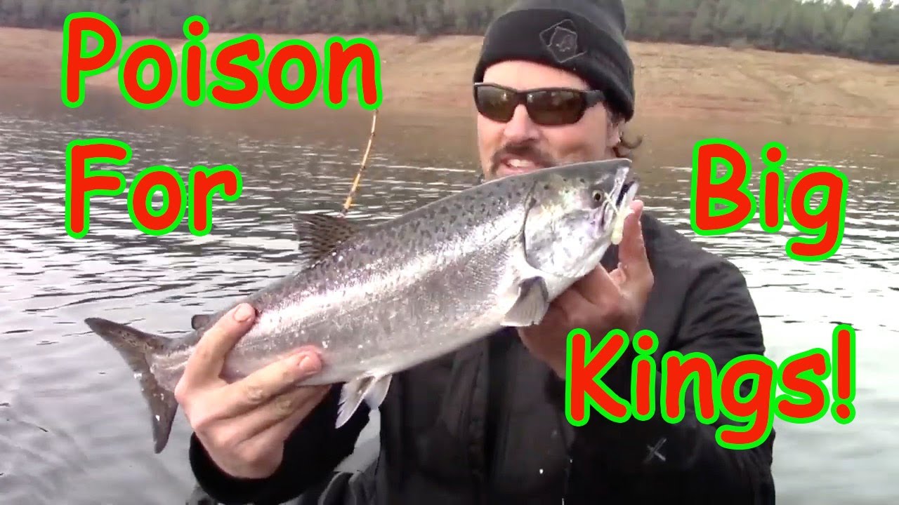 Deadly Combo For Landlocked King Salmon! 