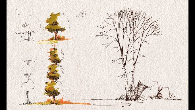 Vegetação – Representação  Trees drawing tutorial, Architecture sketch,  Landscape sketch