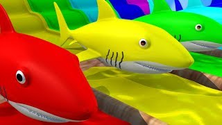Learn Colors with Sharks Water Slide Colors for Kids Nursery Rhymes for Children