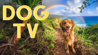 DOG TV For Dogs To Watch: 20 Hour Beach Virtual Hike🌊 With Relaxing Music!