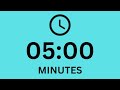 5 Minute Timer Clean Simple Countdown