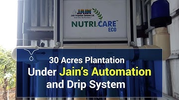 30 Acres Plantation Under Jain