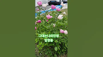 그대는나의인생 임영웅 인생힐링 