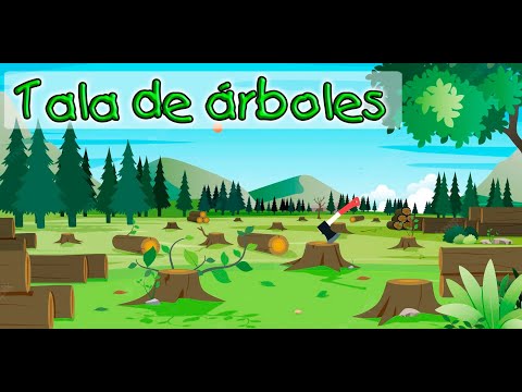 Video: ¿La tala de árboles es responsable de sequías e inundaciones?