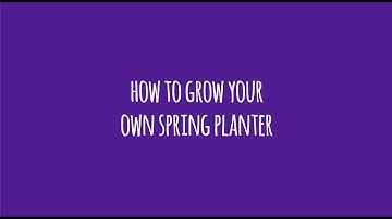 Making a Spring Planter