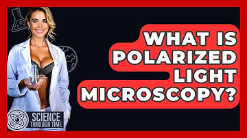 What Is Polarized Light Microscopy? - Science Through Time