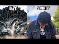 MY DREADLOCK JOURNEY 1-5 MONTHS *DREAD UPDATE