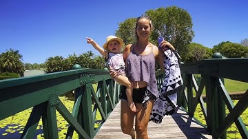 A skate in the park | Zhiyun Smooth Q | iPhone 8 Plus | test footage