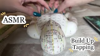 ASMR Lofi Build Up Tapping on 13 Different Items! No Talking 🫶🏻