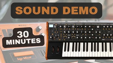 Moog Subsequent 37 – 30 Minutes Synth Exploration | Sound Demo