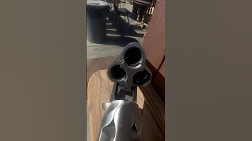 Triple barrel 28 gauge, great dogs and chukars