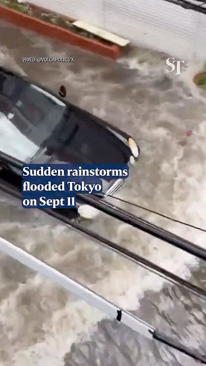 Tokyo hit by record rainfall