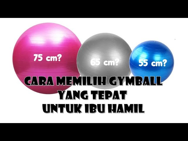 beli gym ball