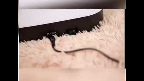 Pet automatic feeder with video remote monitoring function, mobile app control