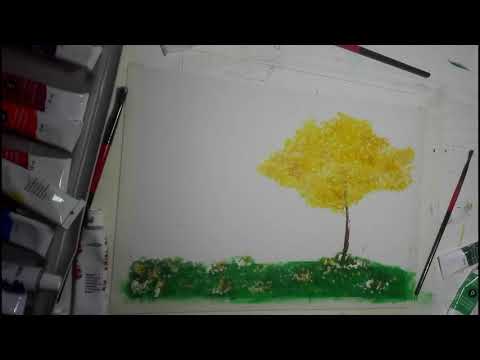 Video: Come Disegnare Una Mimosa Mi