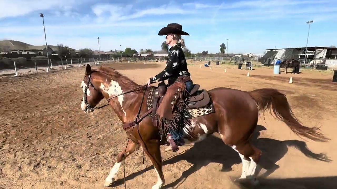 CAWDA Snowflake #6334 Celebrity Apprentice, Basic Test 3