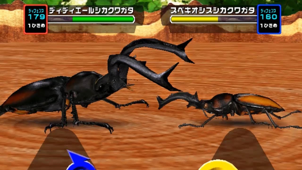 1vs1 対決] ディディエールシカクワガタ VS スペキオシスシカクワガタ