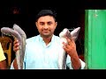 Fish Fry Village Style Cooking Simple and Easy Recipe by MUKKRAM SALEEM | MY Village Food Secrets