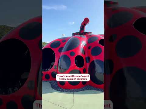 Art Island Wonders in Japan! Don’t miss Naoshima’s hidden art gems!