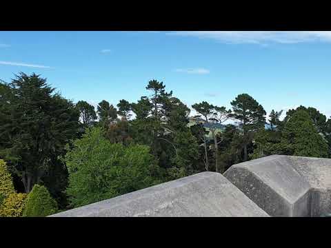 View from the tower at Larnach Castle