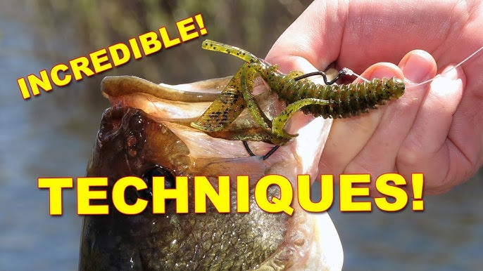 Mastering Swim Worm Fishing: Essential Gear and Techniques for