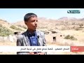 نجاح النحال الصغير معتز زيد يحكي نجاحا في مجال تربية النحل نجاح النحال الصغير معتز زيد يحكي نجاحا في مجال تربية النحل