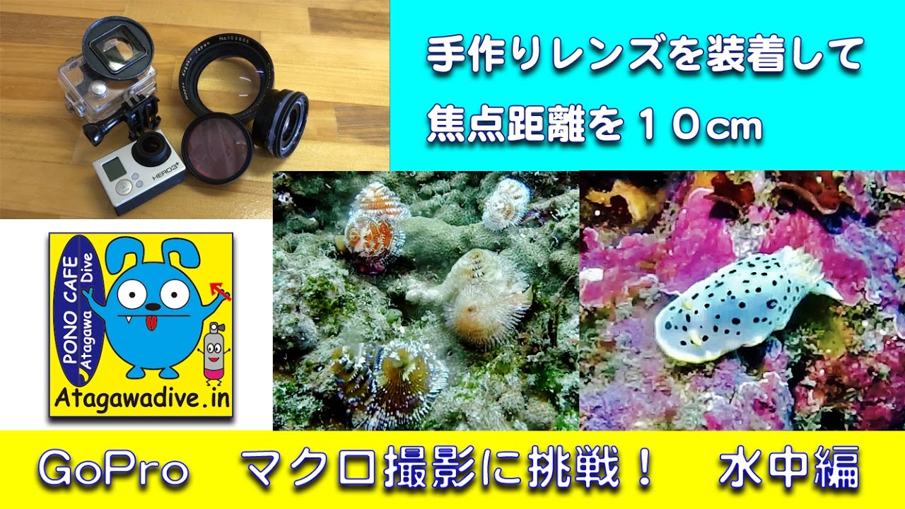 Gopro Hero3 水中マクロ撮影に挑戦 水中編 手作りレンズで焦点距離を10cm大成功 Youtube Gopro Hero3 水中マクロ撮影に挑戦 水中編 手作りレンズで焦点距離を10cm大成功 Youtube
