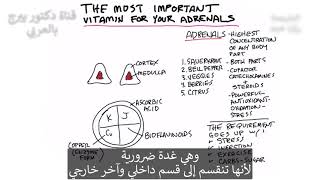 دكتور بيرج  ، الفيتامين الأهم للتخلص من التوتر والإجهاد