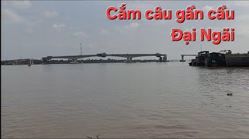 Cắm câu cá Ngát/Tiếp tục trúng mánh cá Ngát bự/NC 83#199