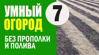 Умный Огород - 7 ч. ДОРОЖКИ ИЗ СОЛОМЫ. Не Нужно Поливать и Пропалывать. Урожайный Огород