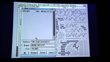 Sundown 2012 - ASCII ANSI Compo (Live footage)